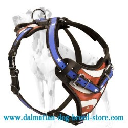 Leather Dog Harness for Dalmatian with little America on