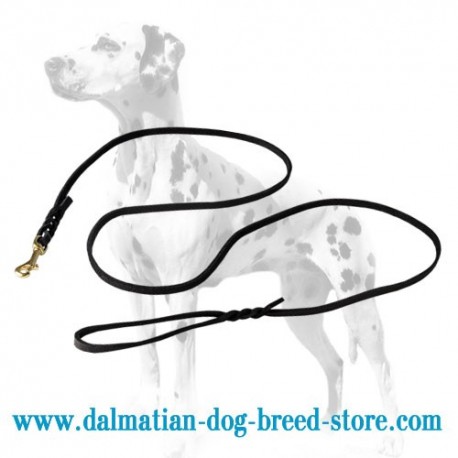 Thin Dalmatian Dog Leash for Shows and Walking