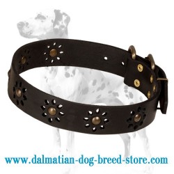 'Spring Mood' Dalmatian Dog Collar